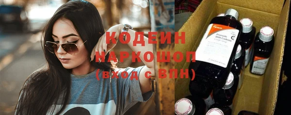 хмурый Семилуки