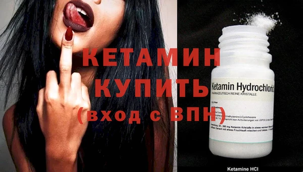 сатива Ленинск