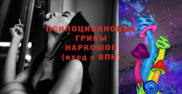 хмурый Семилуки